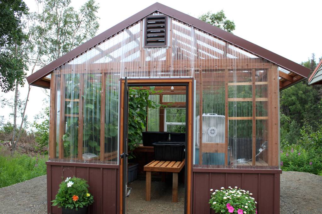 Plants grow inside of a greenhouse dedicated to Bill Osborn on Tuesday, July 12, 2022 in Kenai, Alaska. (Ashlyn OHara/Peninsula Clarion)