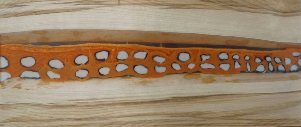 Michelle Melcherts epoxy resin work is oart of the Disability Pride Month art show, as seen on Friday, July 1, 2022, at Grace Ridge Brewing in Homer, Alaska. (Photo by Michael Armstrong/Homer News)