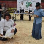 Levi Rankin shows a turkey to a judge at the 4-H Agriculture Expo in Soldotna, Alaska, on Aug. 5, 2022. Rankin was named Grand Champion in showmanship for this turkey showing. (Jake Dye/Peninsula Clarion)