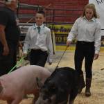 Abriella Werner shows a pig alongside another contestant at the 4-H Agriculture Expo in Soldotna, Alaska, on Aug. 5, 2022