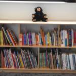 Books fill the shelves in the library at the Kahtnuhtana Duhdeldiht Campus in Kenai, Alaska, on Thursday, Sept. 1, 2022. (Jake Dye/Peninsula Clarion)