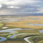 Wetlands in the Selawik Refuge that were mapped in the USFWS National Wetlands Inventory. (Photo by USFWS)