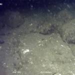 Seadrone photo showing stone fish trap found in Shakan Bay on the west side of Prince of Wales could potentially be oldest ever found in the world. The structure was first discovered in 2010 and officially confirmed as a stone weir earlier this year. (Courtesy Photo / Sealaska Heritage)