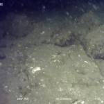 Seadrone photo showing stone fish trap found in Shakan Bay on the west side of Prince of Wales could potentially be oldest ever found in the world. The structure was first discovered in 2010 and officially confirmed as a stone weir earlier this year. (Courtesy Photo / Sealaska Heritage)