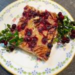 Sweet and tart cranberry pecan oat bars are photographed. (Photo by Tressa Dale/Peninsula Clarion)