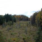 Trees with fall colors populate the Shqui Tsatnu Creek gully as seen from Fourth Avenue on Friday, Sept. 23, 2022, in Kenai, Alaska. (Ashlyn OHara/Peninsula Clarion)