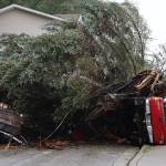 A residents truck laid on its side after being crushed by a large fallen tree the night before due to a landslide on Monday, Sept. 26, in Juneau, Alaska. (Clarise Larson / Juneau Empire)