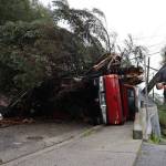 Clarise Larson / Juneau Empire
A CCFR responder was at the site of major wreckage on Gastineau Avenue that was caused due to a landslide during a heavy rainstorm on Monday, Sept. 26, in Juneau, Alaska. The slide knocked a tree down across Gastineau Avenue, destroying a power pole that resulted in power outages around Juneau and causing other damage on the residential street.