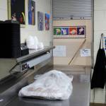 School lunch materials sit on a prep table near the cafeteria window inside the Kenai Middle School kitchen on Wednesday, Sept. 21, 2022, in Kenai, Alaska. A bond package up for consideration by voters next month would fund the expansion of the schools kitchen in addition to other projects. (Ashlyn OHara/Peninsula Clarion)