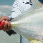 IF4/flyfilmfest.com
A still from Casting Maya, a film about Ascension Bay on the Yucatan Peninsula in Mexico, is seen in this screenshot. From Pure Films, the short will be one of nine shown at the International Fly Fishing Film Festival on Aug. 10 in Kenai.