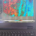 Thermal Image of Moose River on the Kenai National Wildlife Refuge in Alaska. (Photo by Dave Merz/FWS)