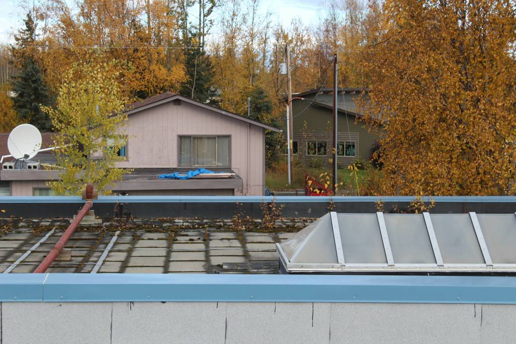 Saplings grow on the roof of Soldotna Montessori Charter School on Friday, Sept. 30, 2022, in Soldotna, Alaska. (Ashlyn OHara/Peninsula Clarion)