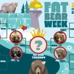 Fat Bear Week bracket (Photo courtesy Katmai National Park & Preserve)