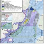 Lease Sale 258 Preferred Alternative figure from environmental impact survey. (BOEM)