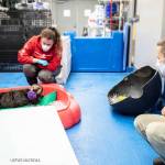 Savannah Costner, animal care specialist at ASLC, and Katy Roxbury, animal care specialist at Shedd, observe Qilak as he explores enrichment items like toys, ice and more at ASLC. (Photo Credit: Shedd Aquarium)