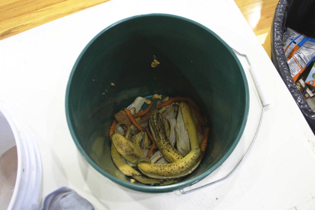 A bucket collects food scraps in the cafeteria at Sterling Elementary School on Thursday, Nov. 10, 2022, in Sterling, Alaska. (Ashlyn OHara/Peninsula Clarion)
