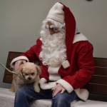 Buddy prepares to leap from Santa Claus lap during Bark, Block and Bowl on Saturday, Dec. 10, 2022, at the Kenai Peninsula Food Bank in Soldotna, Alaska. (Jake Dye/Peninsula Clarion)