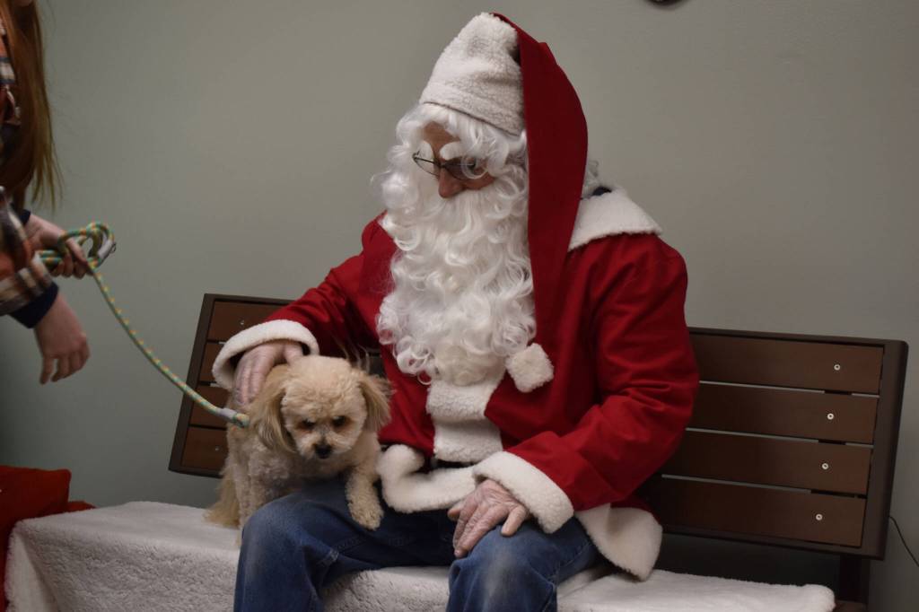 Buddy prepares to leap from Santa Claus lap during Bark, Block and Bowl on Saturday, Dec. 10, 2022, at the Kenai Peninsula Food Bank in Soldotna, Alaska. (Jake Dye/Peninsula Clarion)