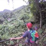 Hiking the Levena Coastal Trail on Taveuni Island, Fiji. (Photo by Mark Laker/USFWS)