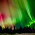 Aurora borealis dance on Sunday, Feb. 26, 2023, in Kasilof, Alaska. (Photo courtesy Mechel Meek)
