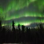 Aurora borealis shine over Cooper Landing on Sunday. Feb. 26, 2023, in Cooper Landing, Alaska. (Photo courtesy Virginia Morgan)