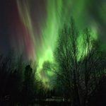 Aurora borealis shine over Cooper Landing on Sunday, Feb. 26, 2023 in Cooper Landing, Alaska. (Photo courtesy Virginia Morgan)