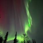 The aurora borealis as seen on Sunday, Feb. 26, 2023 in Nikiski, Alaska. (Photo courtesy Rachel Olson)
