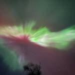 The aurora borealis as seen on Sunday, Feb. 26, 2023 in Nikiski, Alaska. (Photo courtesy Rachel Olson)