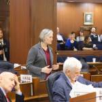 Mark Sabbatini / Juneau Empire
State Rep. Rebecca Himschoot, I-Sitka, offers an overview Wednesday of Southeast Alaskas commercial troll fisheries while asking for support on a resolution opposing a lawsuit by a Washington-based group that would shut the fisheries down due to their alleged impacts on species in that state. The resolution passed by a 35-1 vote.