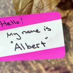 Naming nature as an innovative way to identify and remember their official and complex scientific names. (Photo by USFWS)