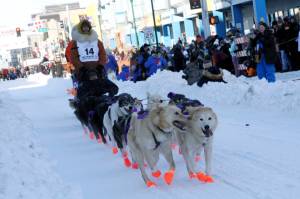 Defending champion Brent Sass mushes his dog team down Fourth Avenue during the Iditarod Trail Sled Dog Races ceremonial start in downtown Anchorage, Alaska, on Saturday, March 4, 2023. (AP Photo/Mark Thiessen)