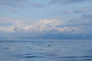 This photo provided by the Alaska Volcano Observatory/U.S. Geological Survey shows the east flank of Takawangha Volcano near Adak, Alaska, on June 10, 2021. Not one but two volcanoes on the same island in Alaska are showing signs of unrest. A swarm of earthquakes occurring since late February 2023 has intensified, a possible indication of an impending eruption. (Matt Loewen/Alaska Volcano Observatory/U.S. Geological Survey via AP)