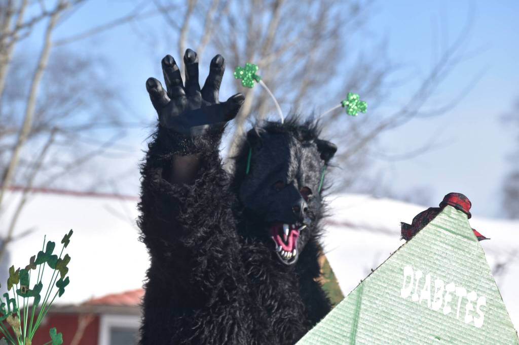 A bear waves from the back of a truck as the 32nd annual Sweeneys St. Patricks Day Parade proceeds down Fireweed Street in Soldotna, Alaska on Friday, March 17, 2023. (Jake Dye/Peninsula Clarion)