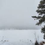 Snow falls on a fog-covered Beluga Lake on Thursday<ins>, March 30, 2023 in Homer, Alaska</ins>. (Photo by Delcenia Cosman/Homer News)
