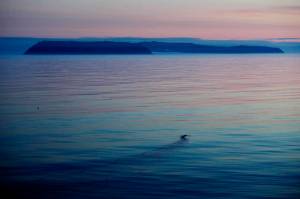 The American island of Little Diomede, Alaska, left, and on the right, the Russian island of Big Diomede, are seen from the Finnish icebreaker MSV Nordica in the Bering Strait, on July 14, 2017. The Alaska Air National Guard on April 3, 2023, traveled nearly 660 miles to rescue a pregnant woman on a small island two miles from Russia who had severe abdominal pains, a reflection of the challenges patients face in the nations largest state where the most remote areas have no roads and hospitals can be hundreds of miles away. (AP Photo/David Goldman, File)
