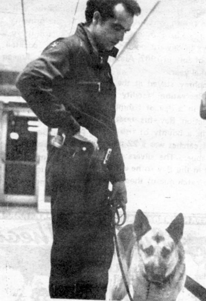Original photo from the Seward Phoenix Log
Trainer Ted Fields, of Anchorage, stands with his search dog, Hite, in Seward in August 1971.