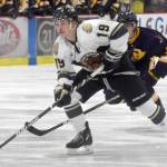 Kenai River Brown Bears forward Parker Lockwood attacks against the Springfield (Illinois) Jr. Blues on Friday, Nov. 19, 2021, at the Soldotna Regional Sports Complex in Soldotna, Alaska. (Photo by Jeff Helminiak/Peninsula Clarion)