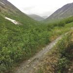 The Devils Creek Trail in Chugach National Forest, seen June 15, 2018. (Photo by Jeff Helminiak/Peninsula Clarion)