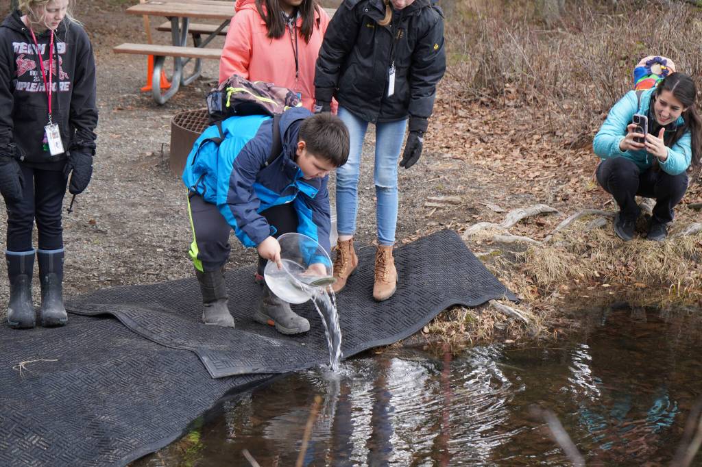 An elementary student stocks rainbow trout in Johnson Lake during Salmon Celebration on Wednesday, May 10, 2023, at Johnson Lake in Kasilof, Alaska. (Jake Dye/Peninsula Clarion)