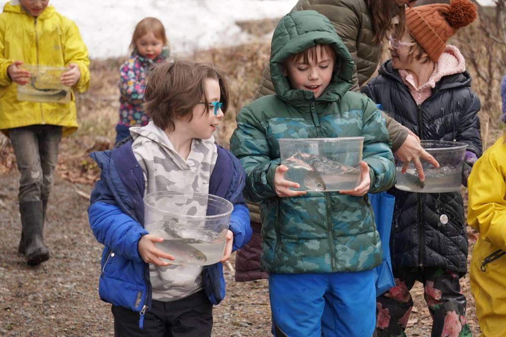 Elementary students prepare to stock rainbow trout in Johnson Lake during Salmon Celebration on Wednesday, May 10, 2023, at Johnson Lake in Kasilof, Alaska. (Jake Dye/Peninsula Clarion)