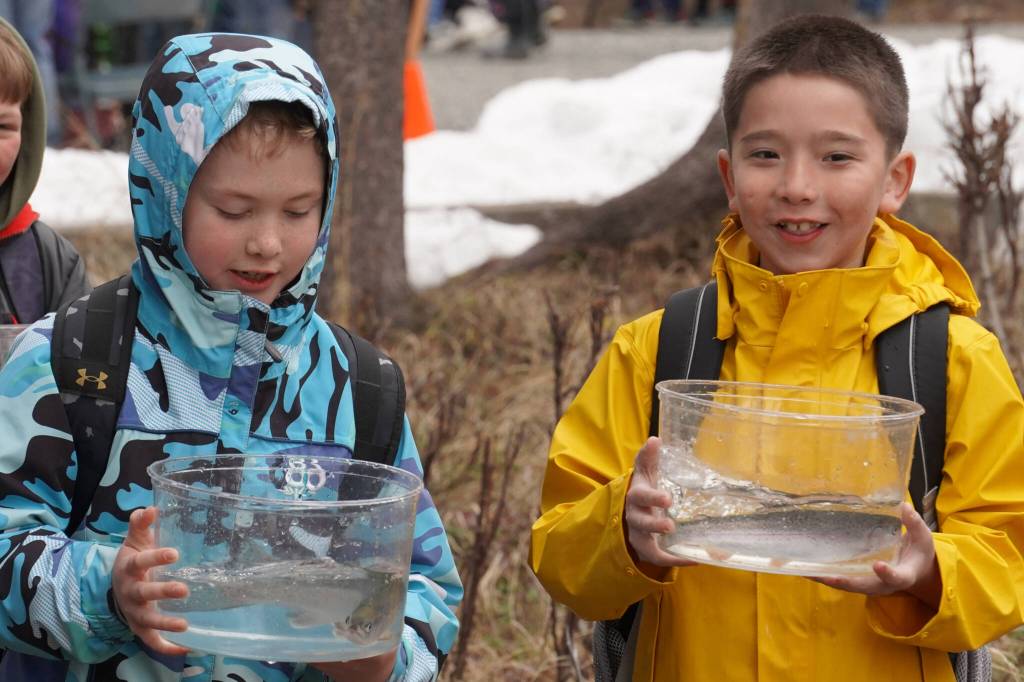 Elementary students prepare to stock rainbow trout in Johnson Lake during Salmon Celebration on Wednesday, May 10, 2023, at Johnson Lake in Kasilof, Alaska. (Jake Dye/Peninsula Clarion)