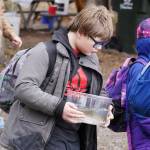 An elementary student prepares to stock rainbow trout in Johnson Lake during Salmon Celebration on Wednesday, May 10, 2023, at Johnson Lake in Kasilof, Alaska. (Jake Dye/Peninsula Clarion)