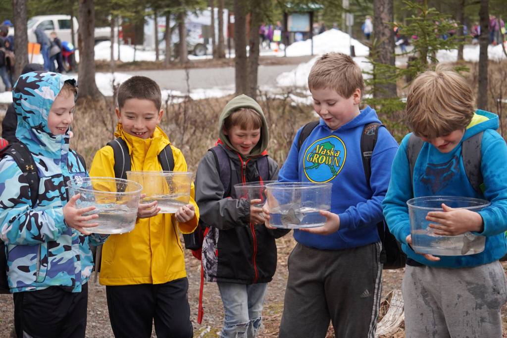 Elementary students prepare to stock rainbow trout in Johnson Lake during Salmon Celebration on Wednesday, May 10, 2023, at Johnson Lake in Kasilof, Alaska. (Jake Dye/Peninsula Clarion)
