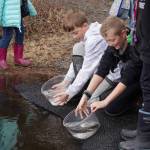 Elementary students stock rainbow trout in Johnson Lake during Salmon Celebration on Wednesday, May 10, 2023, at Johnson Lake in Kasilof, Alaska. (Jake Dye/Peninsula Clarion)