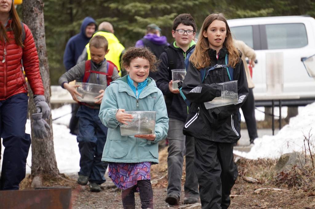 Elementary students prepare to stock rainbow trout in Johnson Lake during Salmon Celebration on Wednesday, May 10, 2023, at Johnson Lake in Kasilof, Alaska. (Jake Dye/Peninsula Clarion)