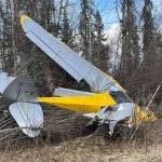 A plane sits in brush on Fontaine Ave. at around 5:45 p.m. after a crash on Thursday, May 11, 2023, near Sterling, Alaska. (Photo courtesy Alisha Joe)