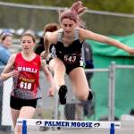 Soldotnas Hallie Fischer clears a hurdles in the girls 300-meter hurdles during the preliminaries of the Region 3 track and field meet Friday, May 19, 2023, at Palmer High School in Palmer, Alaska. (Jeremiah Bartz/Frontiersman)