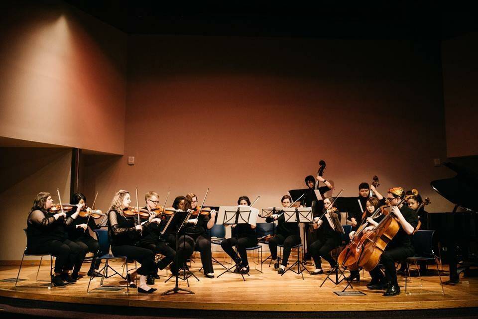 Promotional image of Anchorage Bowl Chamber Orchestra. (Photo courtesy Anchorage Bowl Chamber Orchestra)