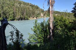 The Kasilof River is seen from the Kasilof River Recreation Area, July 30, 2019, in Kasilof, Alaska. (Photo by Erin Thompson/Peninsula Clarion)