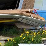 Dandelions bloom around building materials piled at the site of the former ZipMart on Wednesday, June 14, 2023, in Sterling, Alaska. (Ashlyn OHara/Peninsula Clarion)